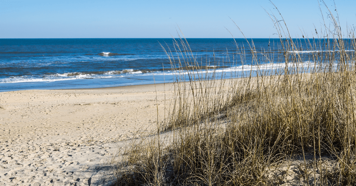 Enjoy Virginia Beach: Alcohol-Free Social Activities